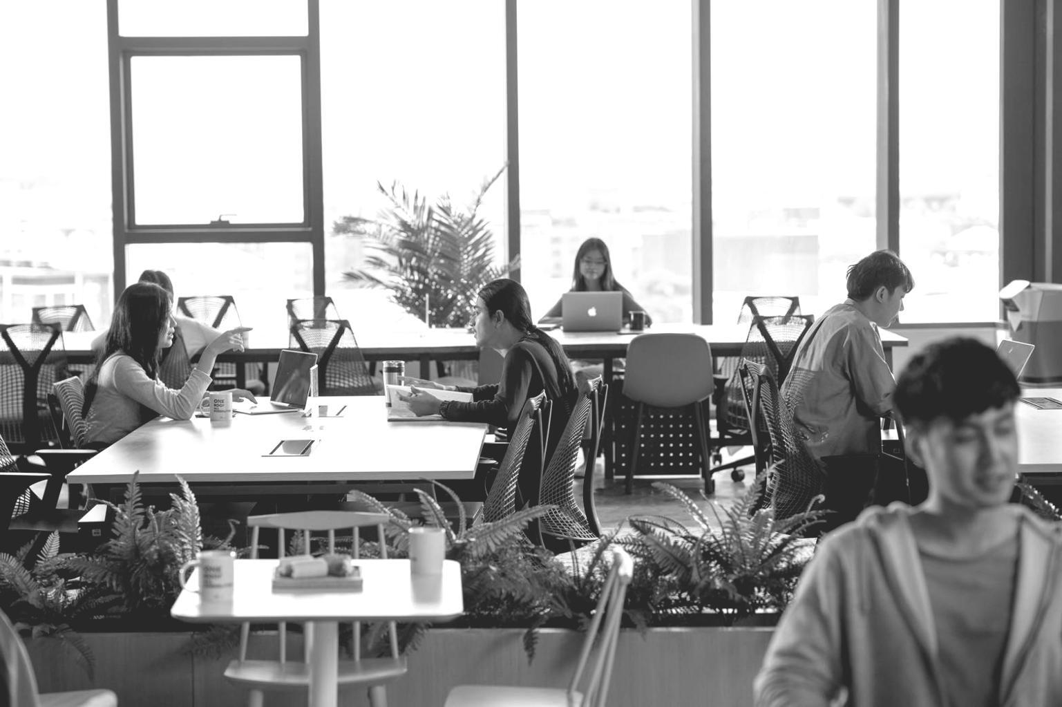 Équipe Valterionex en session de webinaire sur le SEO